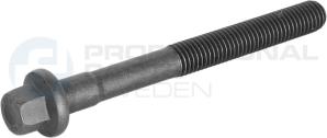 Professional Parts 21437762 - Surub chiulasa - allinparts.ro
