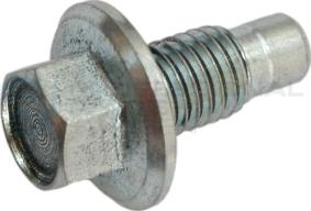 Professional Parts 21349933 - Surub de golire,baia de ulei - allinparts.ro