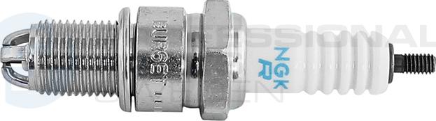 Professional Parts WR78 - Bujii - allinparts.ro