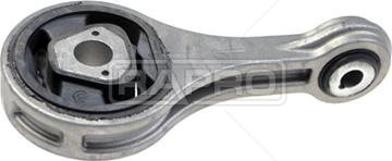 Rapro R51607 - Suport motor - allinparts.ro