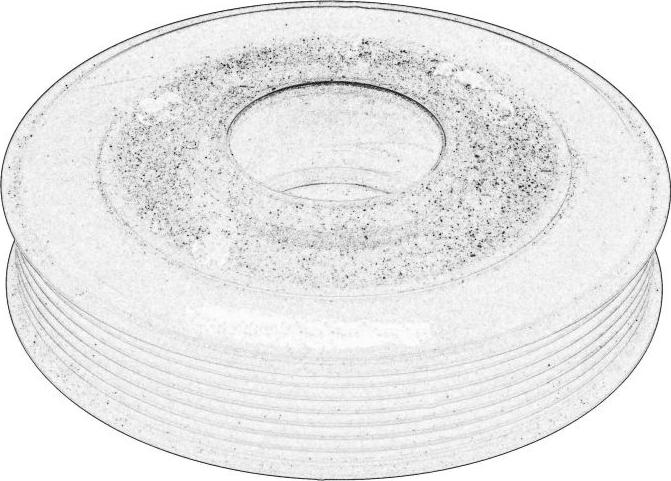 RENAULT 123037616R - Fulie curea, arbore cotit allinparts.ro