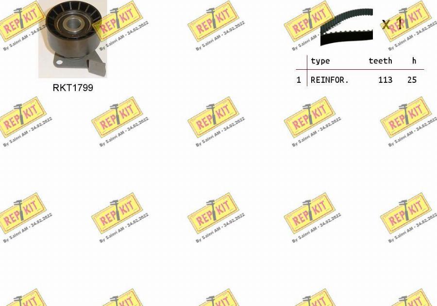 REPKIT RKTK1133 - Set curea de distributie allinparts.ro