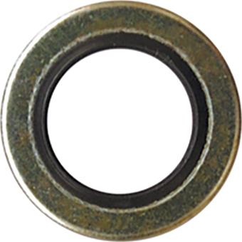 Restagraf 7381 - Inel etansare, surub drena ulei allinparts.ro