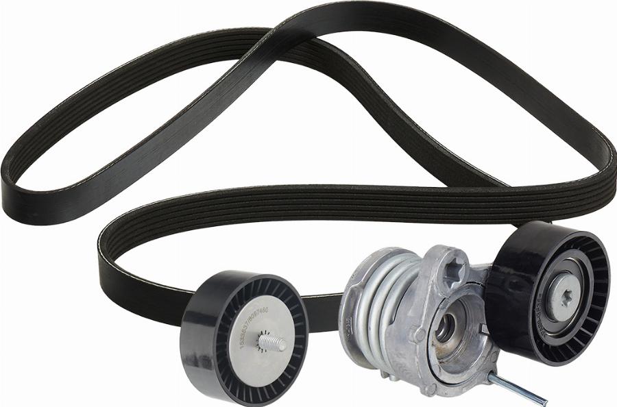 RIDEX 542R0174 - Set curea transmisie cu caneluri - allinparts.ro