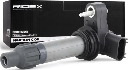RIDEX 689C0216 - Bobina de inductie allinparts.ro