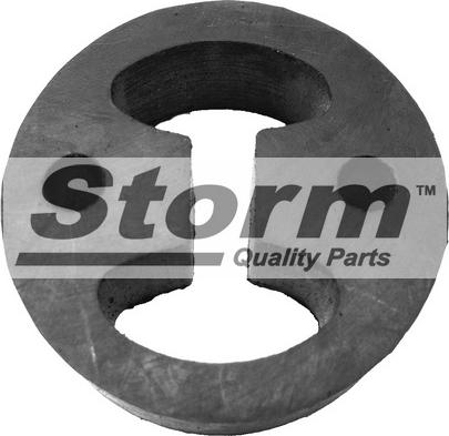 Storm F0262 - Suport, toba esapament allinparts.ro