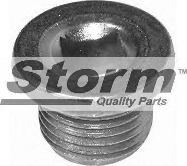 Storm F10174 - Surub de golire,baia de ulei allinparts.ro