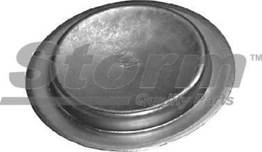 Storm F2789 - Capac, carburator - allinparts.ro