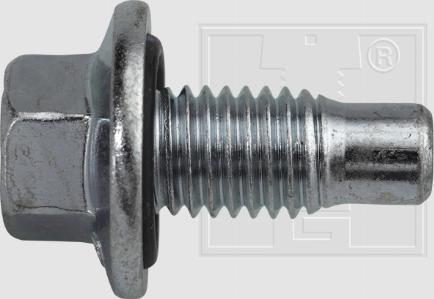 SWGAutomotive 240 001 001 16 - Surub de golire,baia de ulei - allinparts.ro