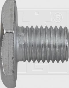 SWGAutomotive 243 001 001 16 - Surub de golire,baia de ulei - allinparts.ro