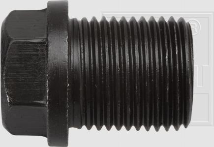 SWGAutomotive 243 001 019 16 - Surub de golire,baia de ulei - allinparts.ro