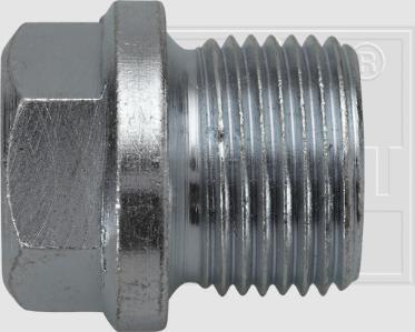 SWGAutomotive 243 001 012 16 - Surub de golire,baia de ulei - allinparts.ro