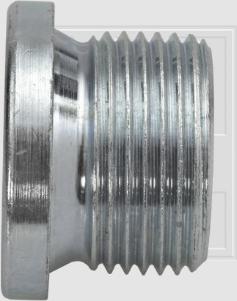 SWGAutomotive 243 106 002 16 - Surub golire, carcasa transmisie - allinparts.ro