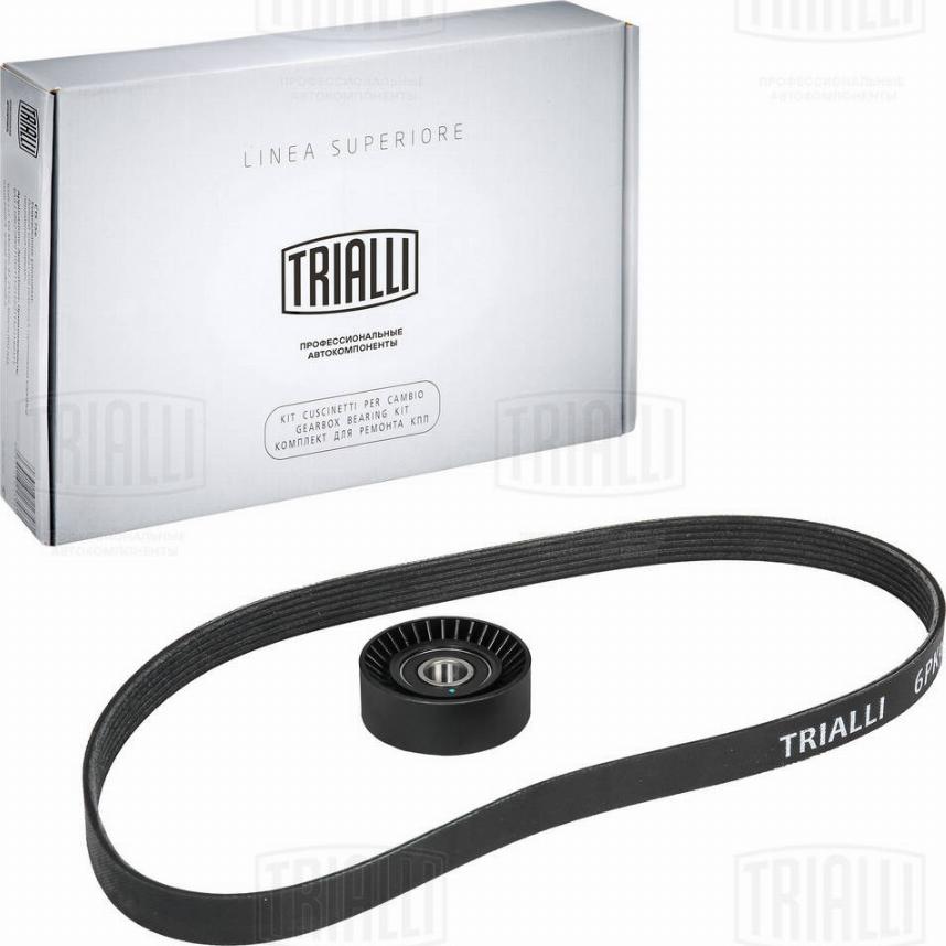 Trialli GD 691 - Set curea transmisie cu caneluri allinparts.ro