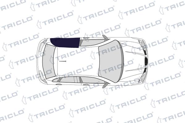 CARRO 019607852 - Maner usa allinparts.ro