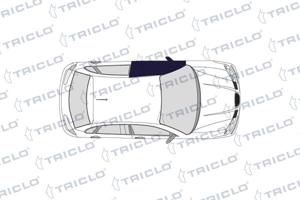 CARRO 722007842 - Maner usa allinparts.ro