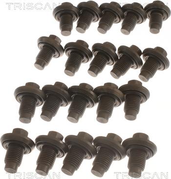 Triscan 9500 1009-20 - Surub de golire,baia de ulei allinparts.ro