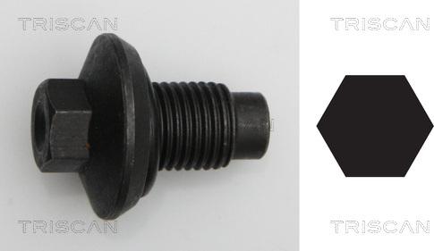 Triscan 9500 1009 - Surub de golire,baia de ulei allinparts.ro
