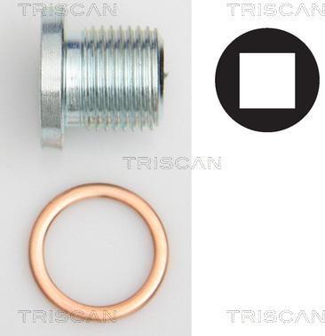 Triscan 9500 1004 - Surub de golire,baia de ulei allinparts.ro