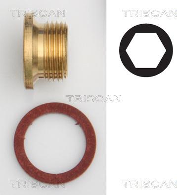 Triscan 9500 1005 - Surub de golire,baia de ulei - allinparts.ro