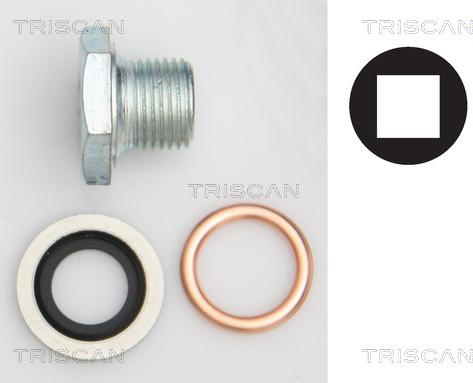 Triscan 9500 1006 - Surub de golire,baia de ulei - allinparts.ro