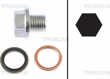 Triscan 9500 1001 - Surub de golire,baia de ulei allinparts.ro