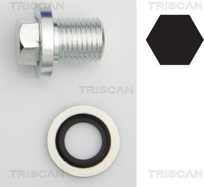 Triscan 9500 1008 - Surub de golire,baia de ulei allinparts.ro