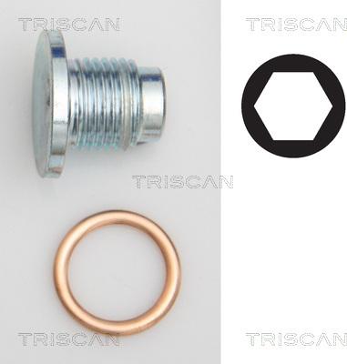 Triscan 9500 1019 - Surub de golire,baia de ulei allinparts.ro