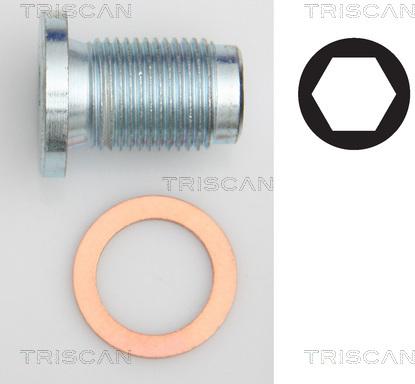 Triscan 9500 1014 - Surub de golire,baia de ulei - allinparts.ro
