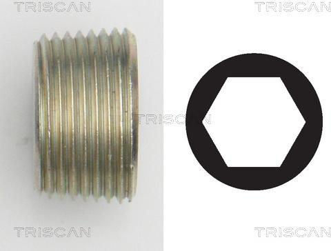 Triscan 9500 1015 - Surub de golire,baia de ulei allinparts.ro