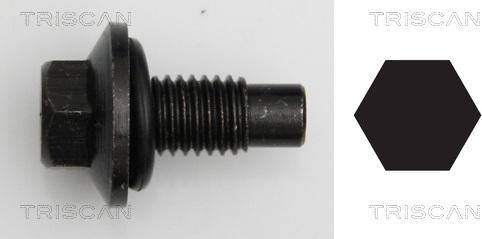 Triscan 9500 1016 - Surub de golire,baia de ulei allinparts.ro