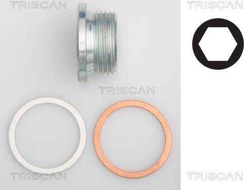 Triscan 9500 1018 - Surub de golire,baia de ulei - allinparts.ro