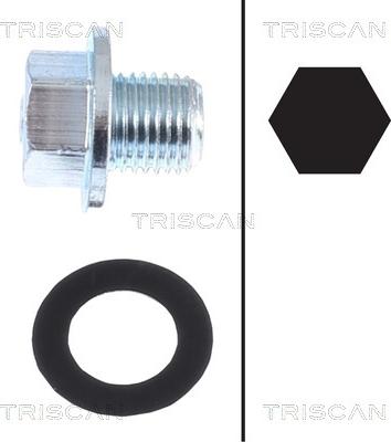 Triscan 9500 1013 - Surub de golire,baia de ulei allinparts.ro