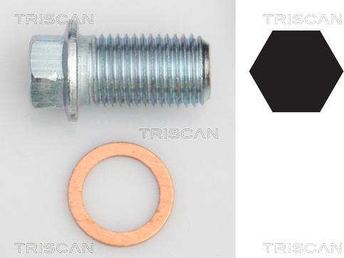 Triscan 9500 1012 - Surub de golire,baia de ulei - allinparts.ro