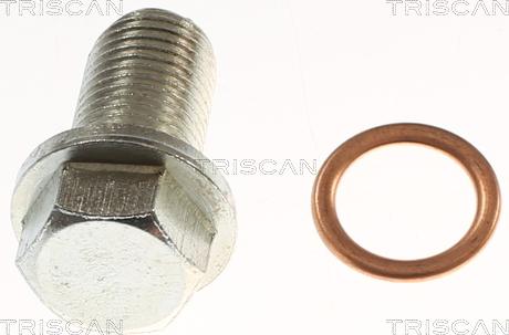 Triscan 9500 1025 - Surub de golire,baia de ulei allinparts.ro