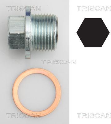 Triscan 9500 1022 - Surub de golire,baia de ulei - allinparts.ro