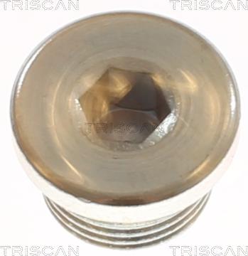 Triscan 9500 1106 - Surub de golire,baia de ulei allinparts.ro