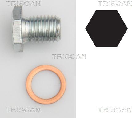 Triscan 9500 1103 - Surub de golire,baia de ulei - allinparts.ro
