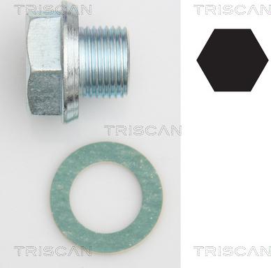 Triscan 9500 1301 - Surub de golire,baia de ulei allinparts.ro