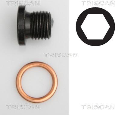 Triscan 9500 2906 - Surub de golire,baia de ulei - allinparts.ro