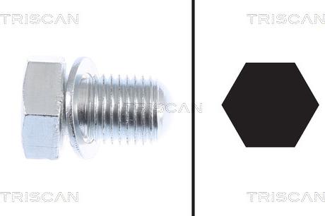 Triscan 9500 2903 - Surub de golire,baia de ulei allinparts.ro
