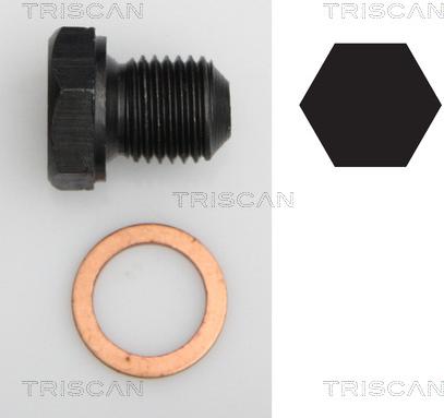 Triscan 9500 2902 - Surub de golire,baia de ulei allinparts.ro