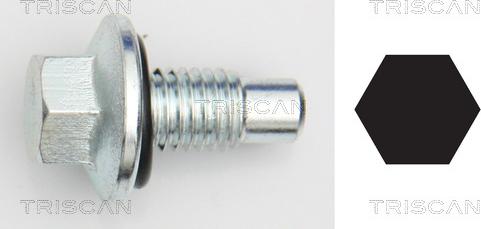 Triscan 9500 2405 - Surub de golire,baia de ulei - allinparts.ro