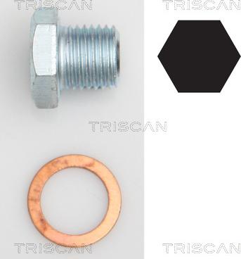 Triscan 9500 2402 - Surub de golire,baia de ulei allinparts.ro