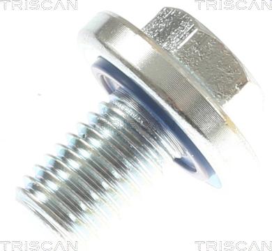 Triscan 9500 2407 - Surub de golire,baia de ulei allinparts.ro