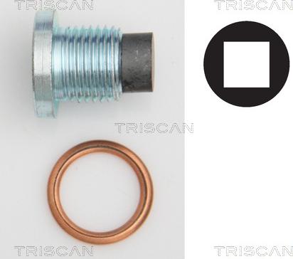 Triscan 9500 2801 - Surub de golire,baia de ulei allinparts.ro