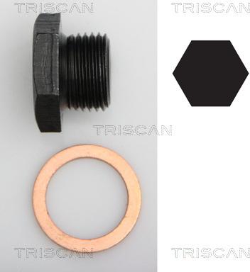 Triscan 9500 2701 - Surub de golire,baia de ulei allinparts.ro