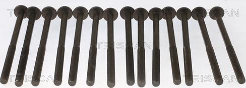 Triscan 98-1014 - Set surub, chiulasa - allinparts.ro