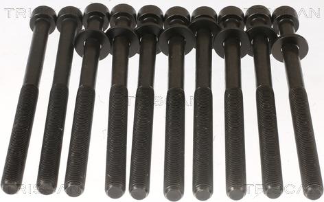 Triscan 98-1017 - Set surub, chiulasa allinparts.ro