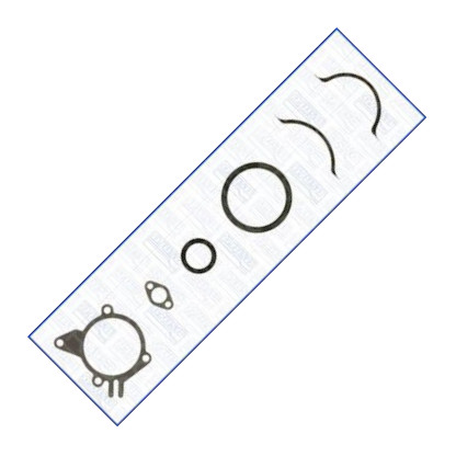 Triscan 595-4063 - Set garnituri, carter - allinparts.ro